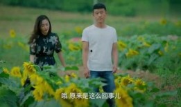 乡亲乡爱在线观看视频,重温家乡温情，共赏感人瞬间